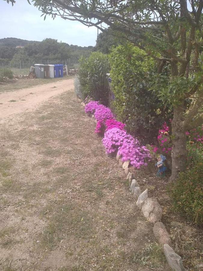 B&B Li Salcuneddi Aglientu Exterior foto
